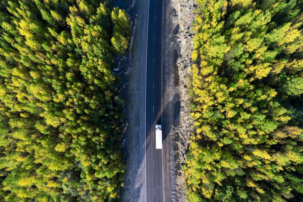 autotrasporto-ecologico